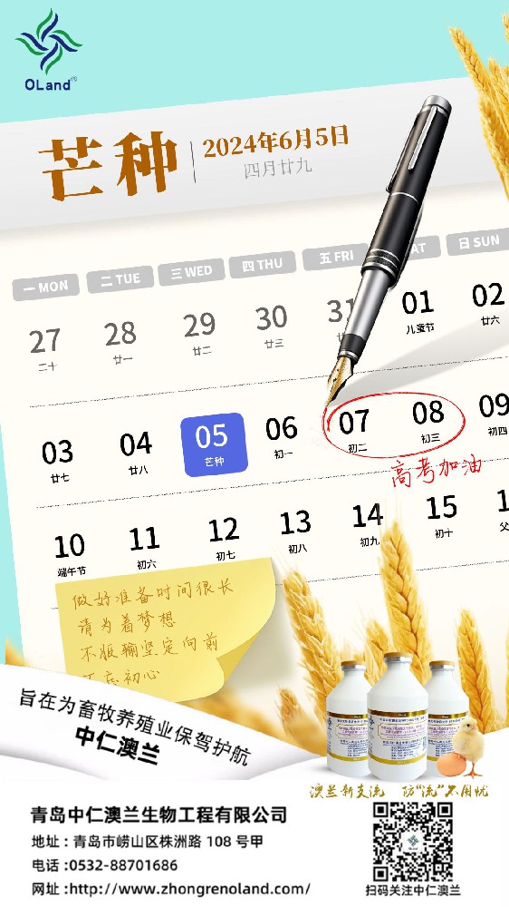 芒种手机海报.jpg