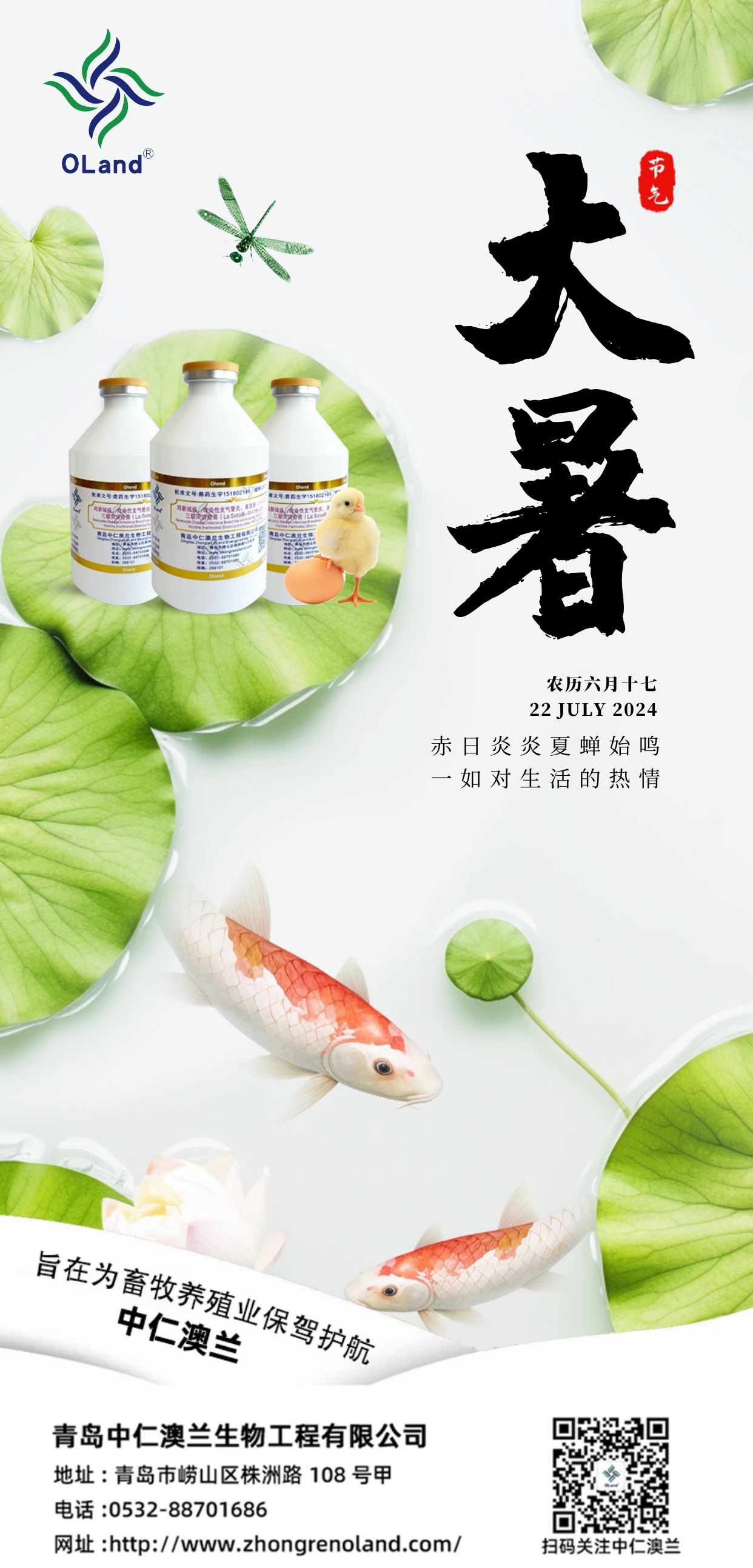 大暑节气问候手机海报.jpg