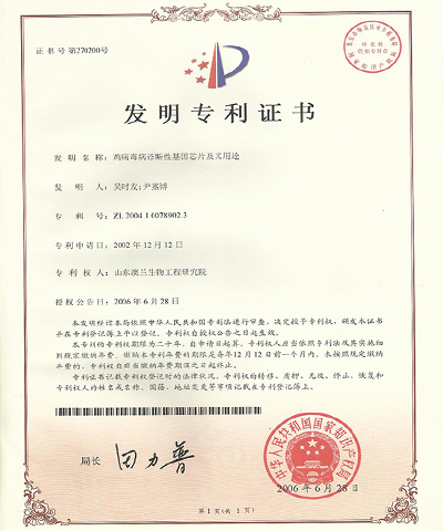 鸡病毒病诊断性基因芯片