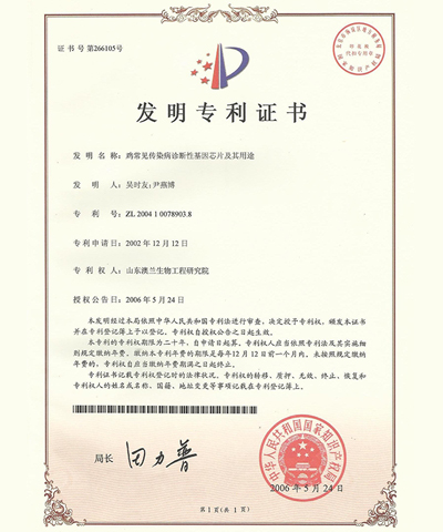 鸡常见传染病诊断性基因芯片