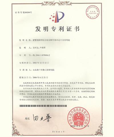 猪繁殖障碍综合症诊断性基因芯片